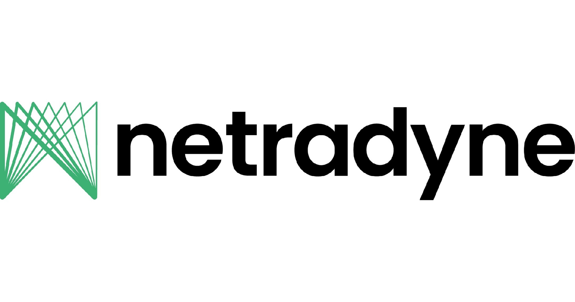 Netradyne_logo