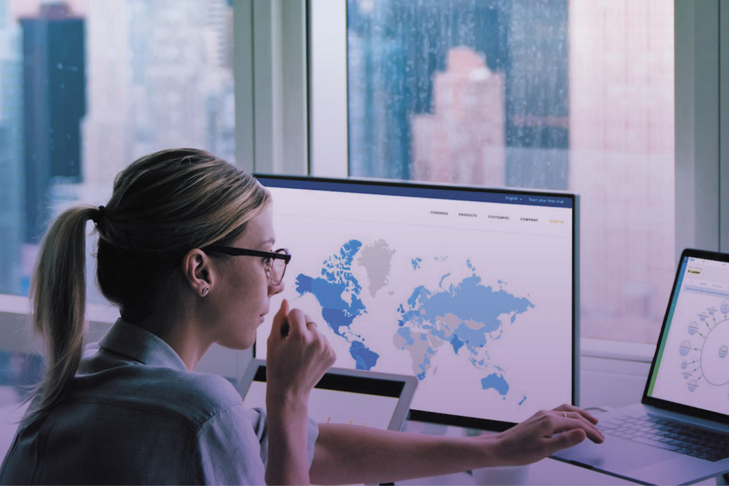 Image of a female lawyer working at laptop