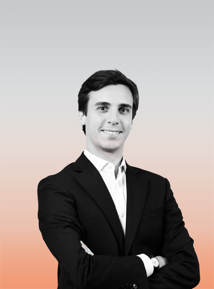 Lorenzo Colombo Grad 730X986